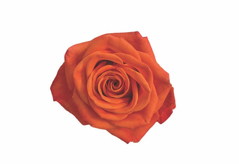 product2